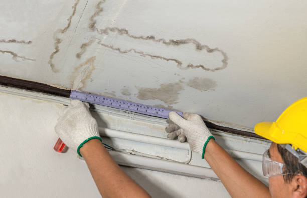 Reliable Water Damage contractor in Quinault, WA by Water Damage Irwin